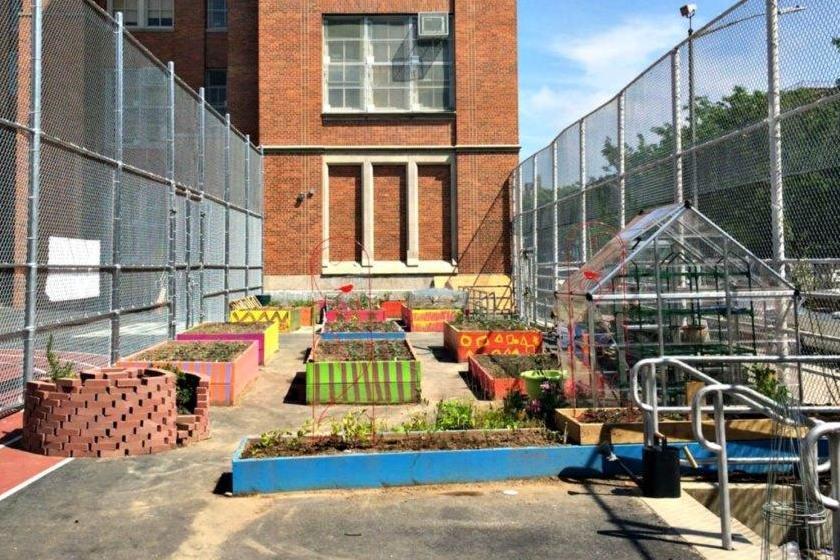 School Climate and Student Learning school garden outside urban